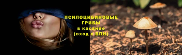 MDMA Premium VHQ Зерноград