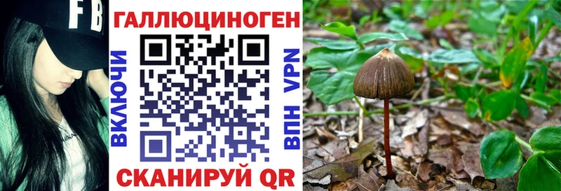 Галлюциногенные грибы Magic Shrooms  наркошоп  Истра 